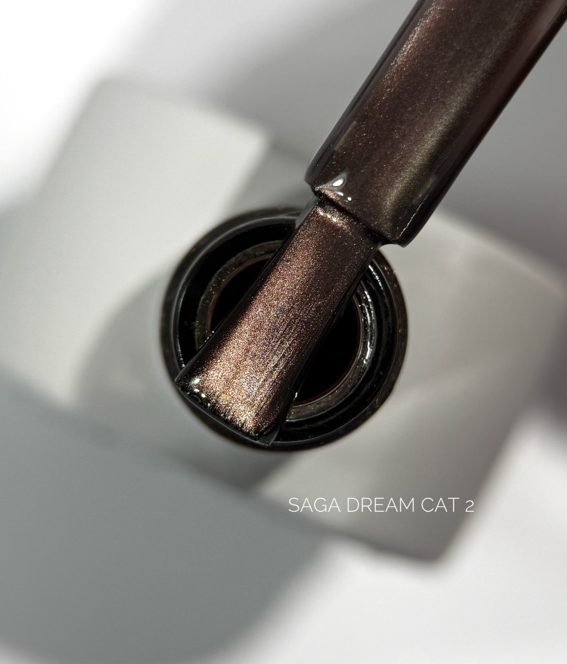 Dream Cat, 02