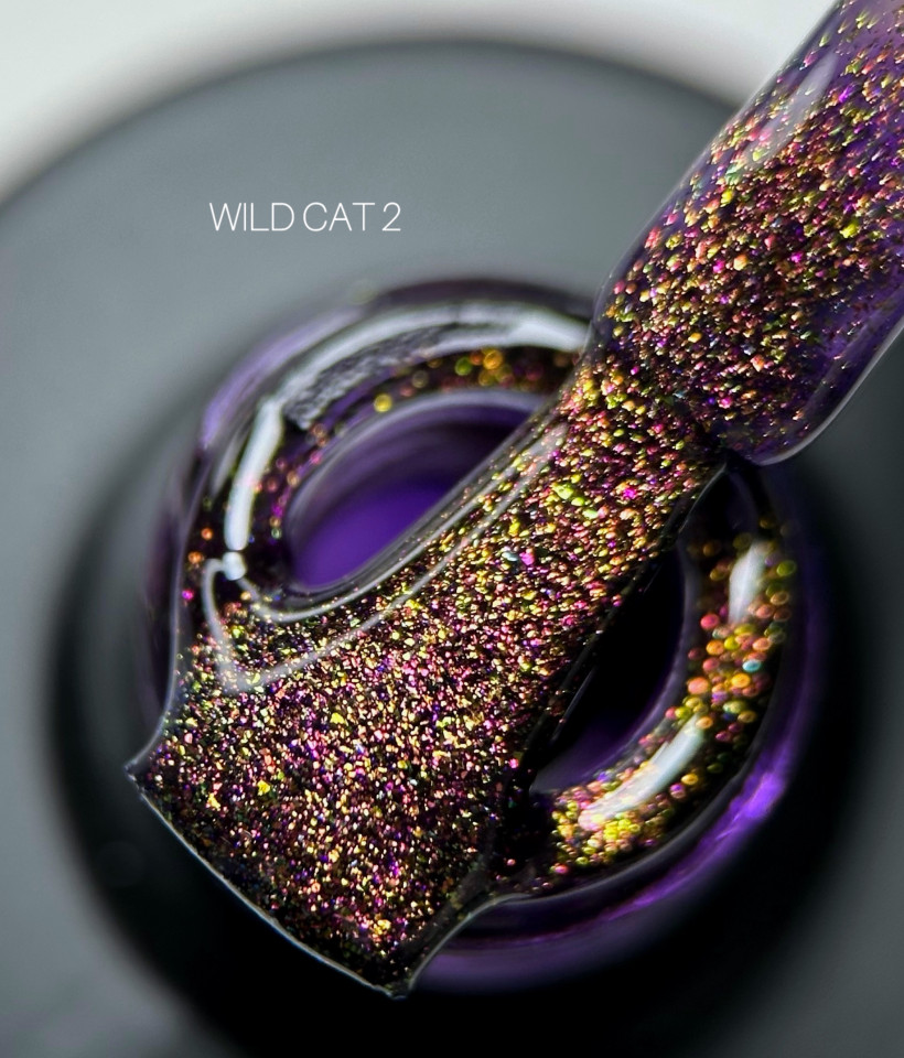 Wild cat, 02