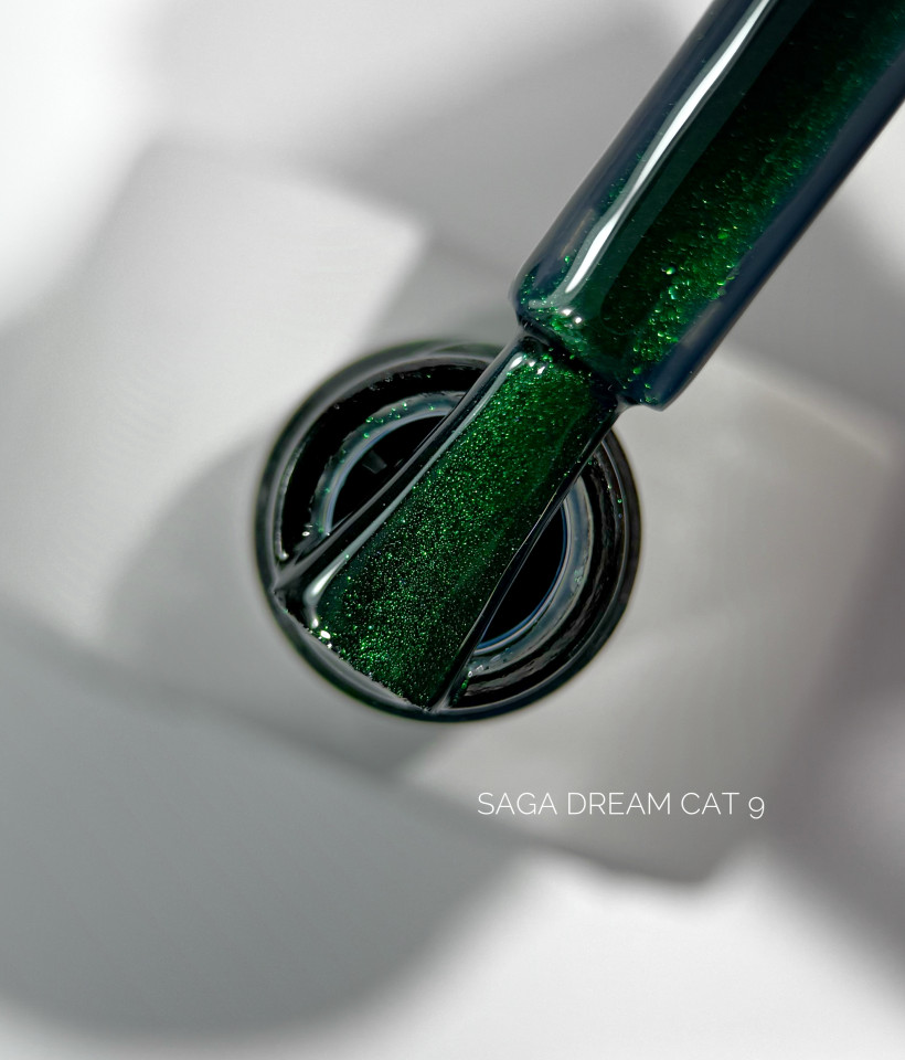 Dream Cat, 09