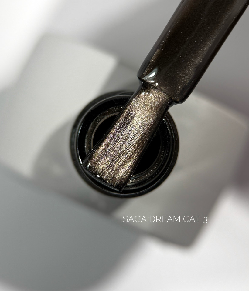 Dream Cat, 03