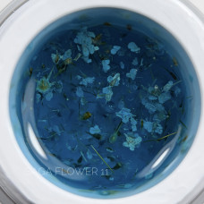 Flower gel, 11