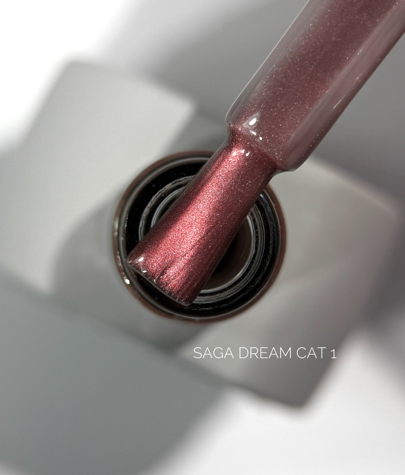 Dream Cat, 01