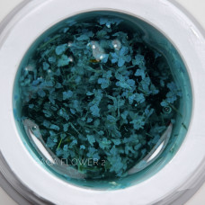 Flower gel, 02